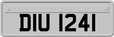 DIU1241