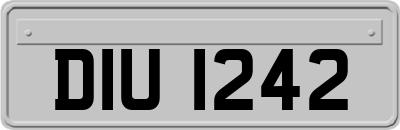 DIU1242