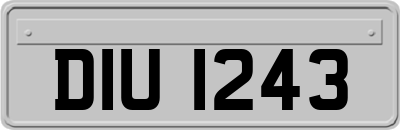 DIU1243