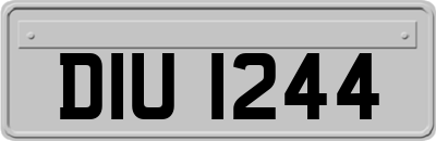 DIU1244