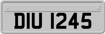 DIU1245