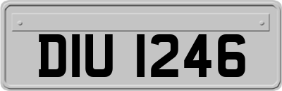 DIU1246