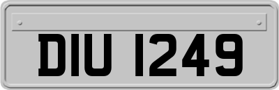 DIU1249
