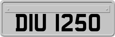 DIU1250