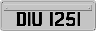 DIU1251