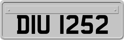 DIU1252