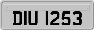DIU1253