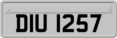 DIU1257
