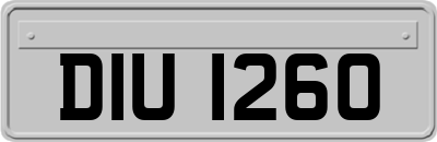 DIU1260