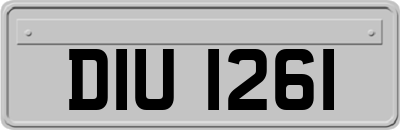 DIU1261