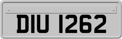 DIU1262