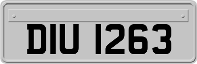 DIU1263