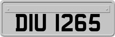 DIU1265