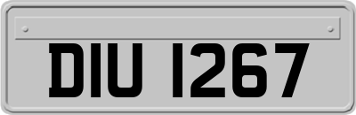 DIU1267