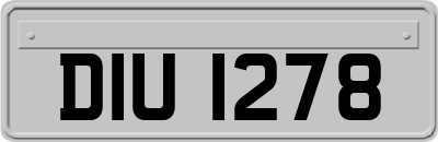 DIU1278
