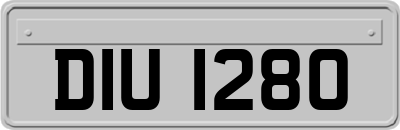 DIU1280