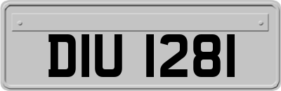 DIU1281