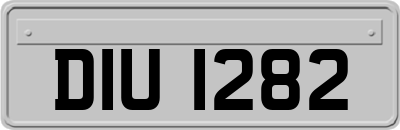 DIU1282