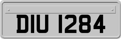 DIU1284