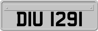 DIU1291