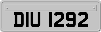DIU1292