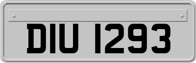 DIU1293