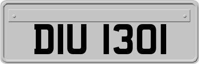 DIU1301