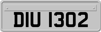 DIU1302