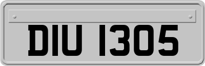 DIU1305