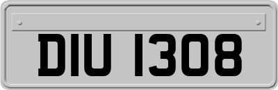 DIU1308