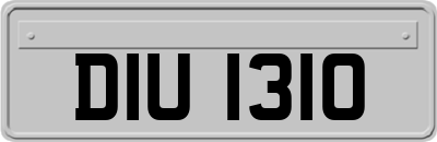 DIU1310