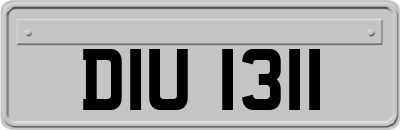 DIU1311