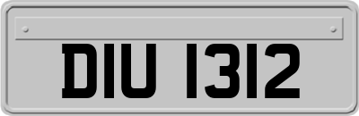 DIU1312
