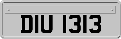 DIU1313
