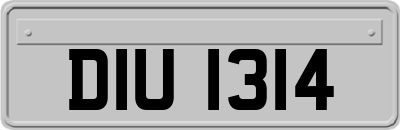 DIU1314