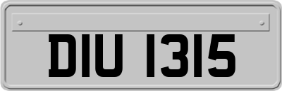 DIU1315