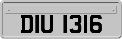 DIU1316