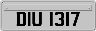 DIU1317