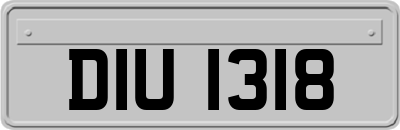 DIU1318