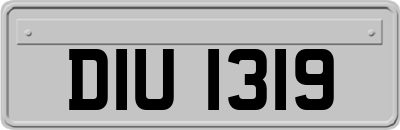 DIU1319
