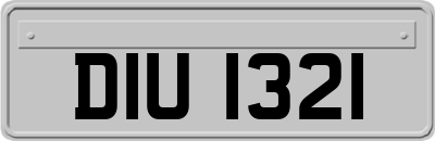 DIU1321