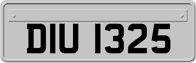 DIU1325