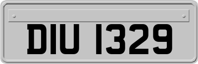 DIU1329