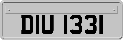 DIU1331