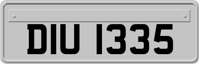 DIU1335