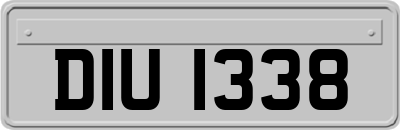 DIU1338