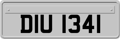 DIU1341