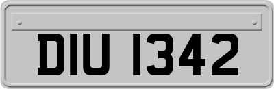 DIU1342