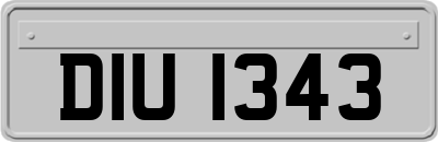 DIU1343
