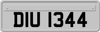 DIU1344